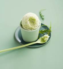 Sorbet concombre et vinaigre balsamique