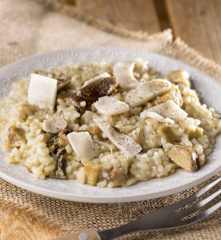 Risotto seitan e funghi