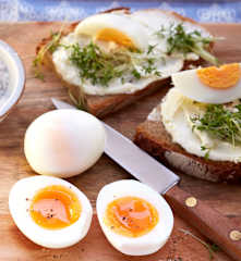 Eier, gekocht