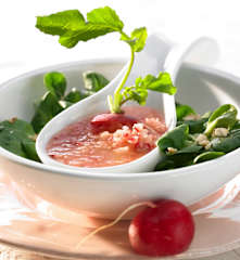 Radieschen-Ingwer-Dressing