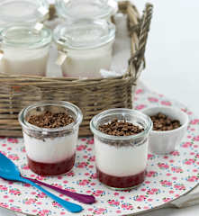 Yogur con coulis de fresa y virutas de chocolate