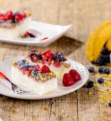 Mattonelle di frozen yogurt ai mirtilli