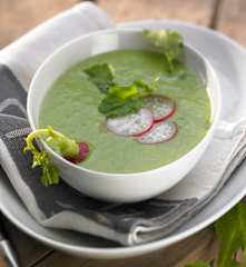 Radieschenblättersuppe