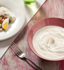 Lactonesa (mayonesa sin huevo)