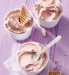 Rhabarber-Eis