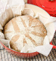 Pão artesanal vegano e sem glúten