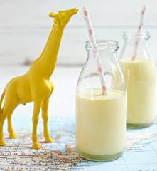 Mandarinen-Vanille-Milchshake