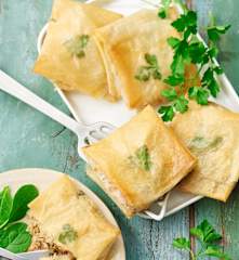 Bricks de thon, fenouil et carotte