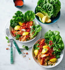 Capsicum chicken and summer squash (Diabetes)