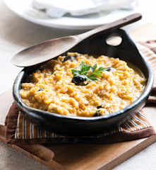 Veracruz Fish