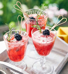 Beeren-Gin-Tonic-Bowle