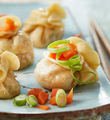 Vegetarische Dim Sum "Shumai"