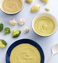 3 purés de carne - introdução do peru, da couve-flor e dos brócolos