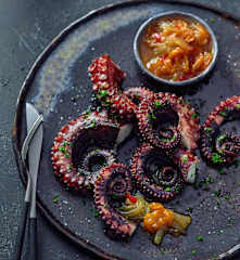 Pulpo