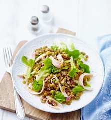 Linsensalat mit Putenbrust