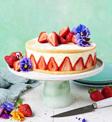 Fraisier sponge (TM6, Christy Tania)
