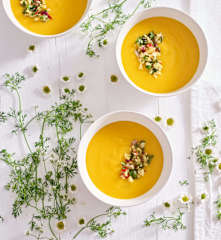 Sopa fria de manga e pepino