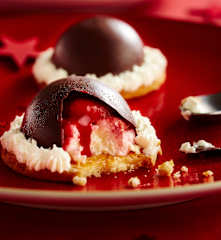 Dôme, chocolat, citron et coulis de framboises