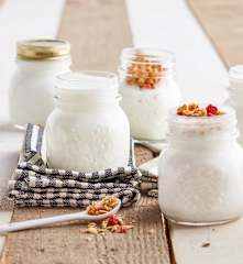 Yogurt naturale (con fermenti per yogurt)