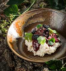 Milchreis mit Brombeer-Schokoladensauce