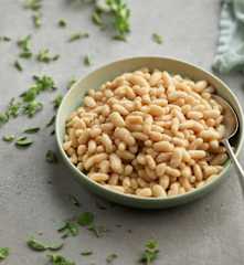 Slow-cooked Haricot Beans