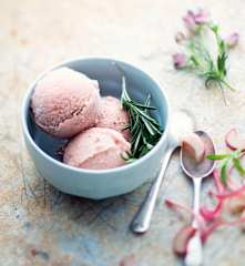 Glace rhubarbe, romarin et estragon
