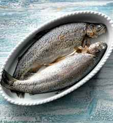 Steamed Trout