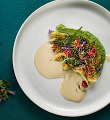 Grilovaná kapusta s majonézou z lososovitého pstruha