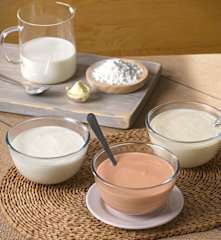 Salsa bechamel y derivadas (sin gluten)