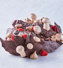 Tronco del bosque encantado