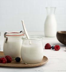 Yaourt vegan au lait de coco