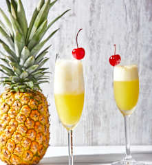 Tropical Mimosa