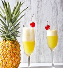 Tropical Mimosa