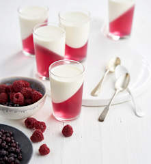 Panacota de frutos do bosque light