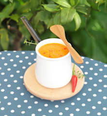 Sauce tomate épicée