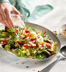 Fenchel-Paprika-Salat mit Haselnuss-Dressing