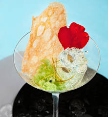 Texturas de gin-tonic