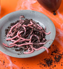 Lombrices en el jardín