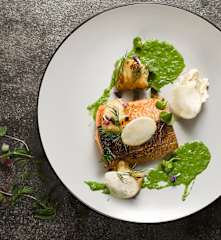 Pstruh s celerovým pyré a omáčkou z potočnice