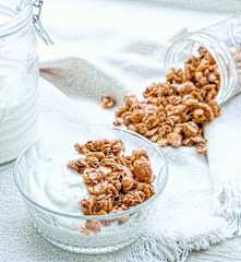 Granola de Castanhas