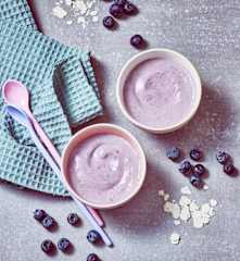 Haferschmelzflocken-Milchbrei mit Heidelbeeren