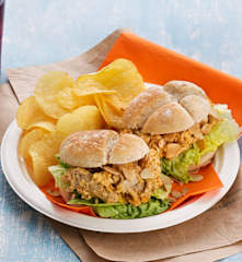 Pulled Chicken Curry Burger