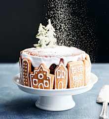 Gâteau aux épices et au chocolat
