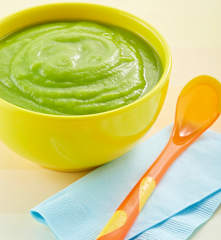 Papilla de calabacita