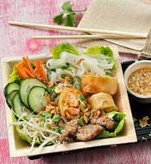 Ensalada vietnamita con rollitos de primavera