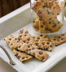 Garibaldi Biscuits