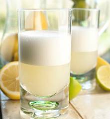 Gin Fizz