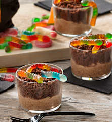 Lodo chocolateado del jardín