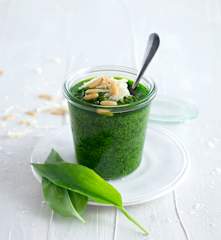 Pesto z medvědího česneku