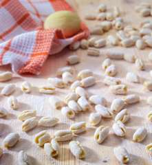 Cavatelli